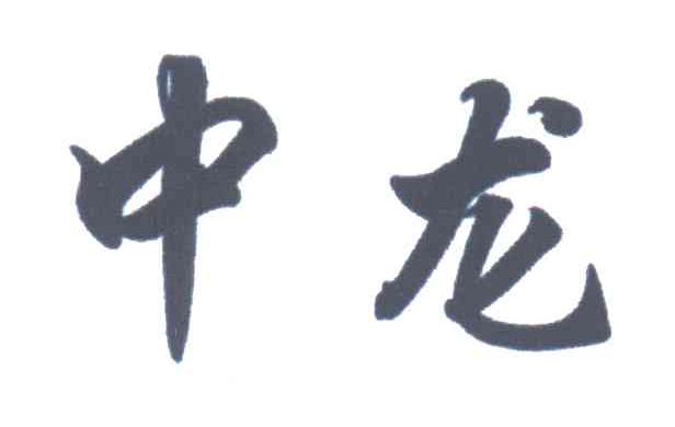 中龙