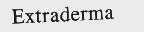 EXTRADERMA