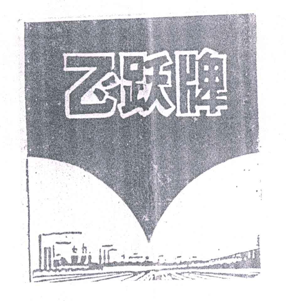 飞跃牌