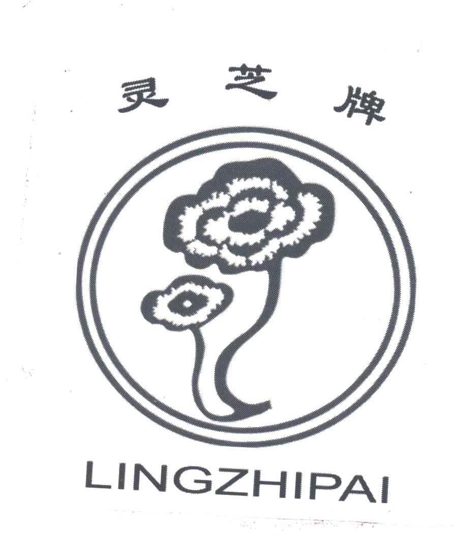 灵芝牌
