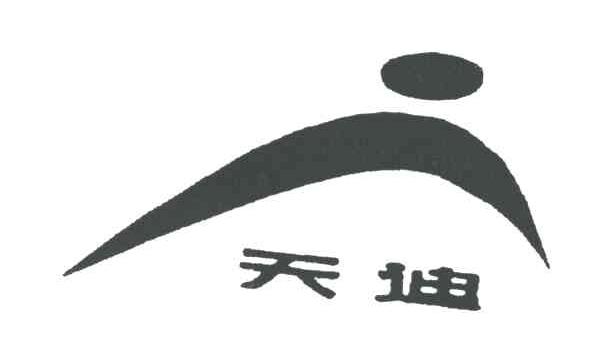 天迪