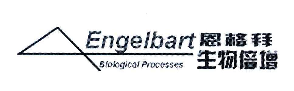 恩格拜 生物倍增 ENGELBART BIOLOGICAL PROCESSES