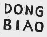 DONG BIAO
