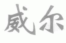 威尔
