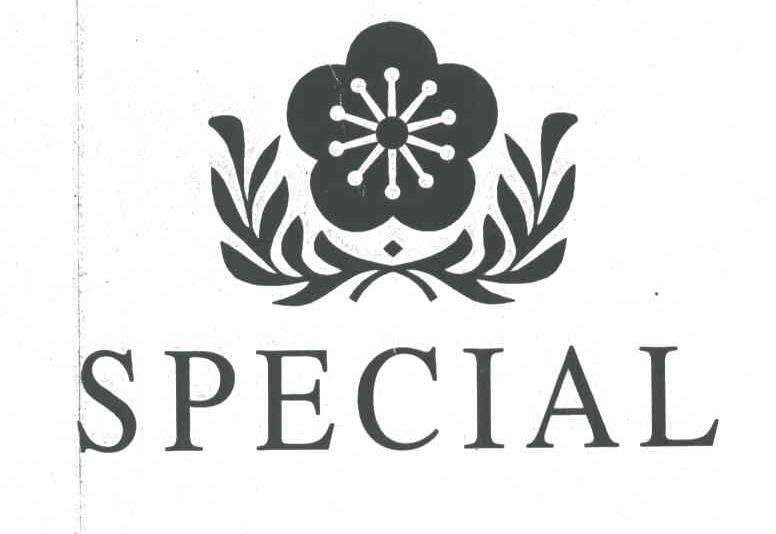 SPECIAL及图