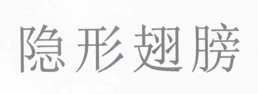 隐形翅膀