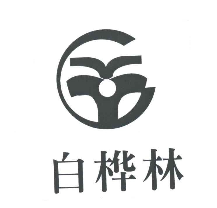 白桦林