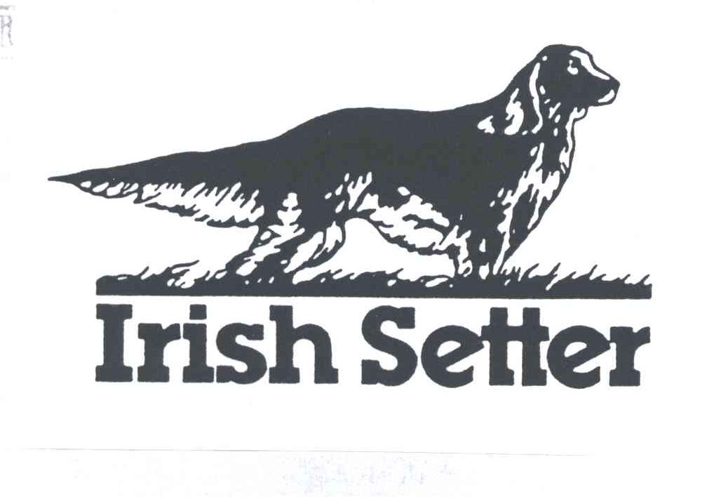 IRISH SETTER