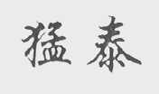 猛泰