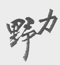 野力