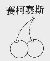 赛柯赛斯