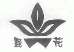 昆花