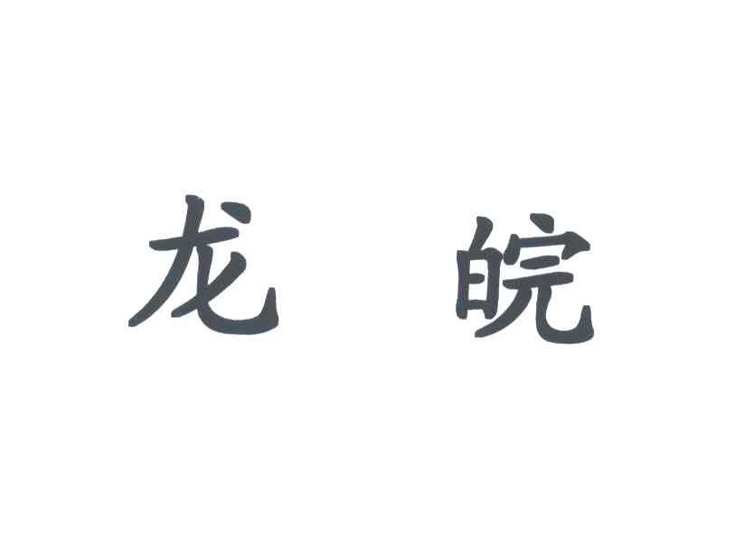 龙皖