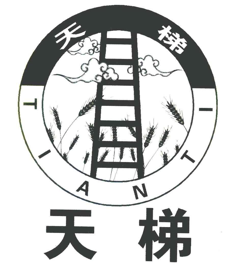 天梯