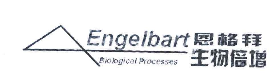 恩格拜生物倍增;ENGELBART BIOLOGICAL PROCESSES