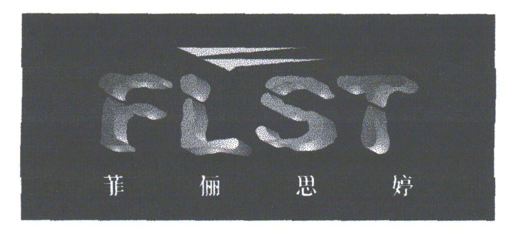 菲俪思婷;FLST