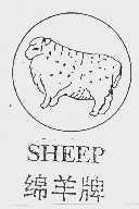 绵羊;SHEEP