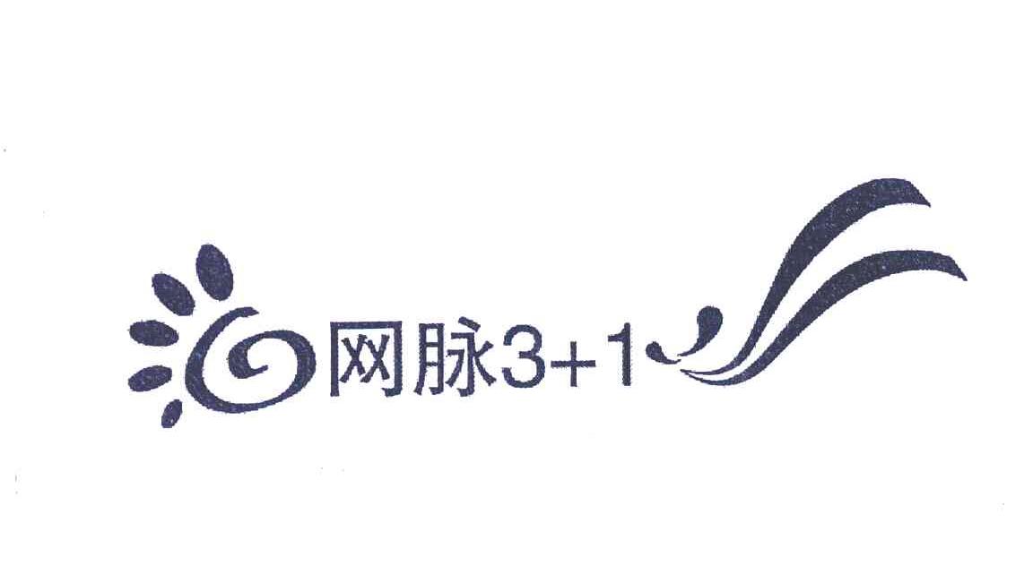网脉;31
