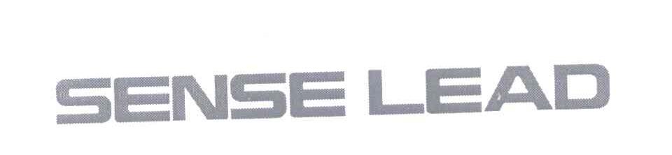 SENSE LEAD