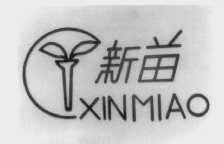 新苗