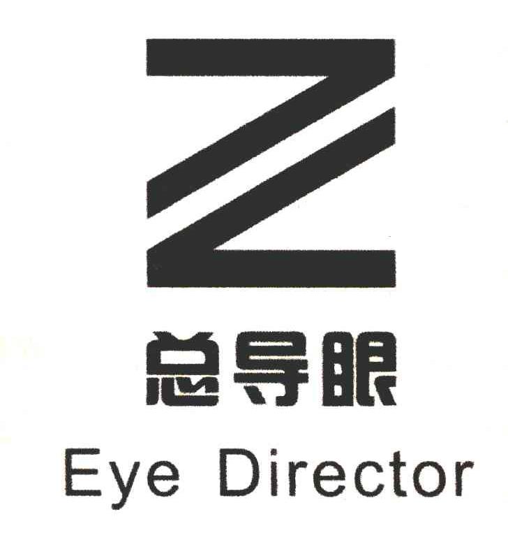 总导眼 EYE DIRECTOR