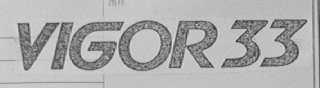 VIGOR 33
