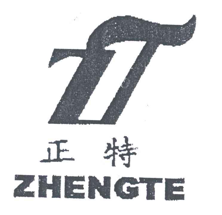正特