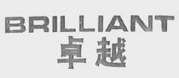 卓越    BRILLIANT