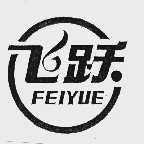 飞跃