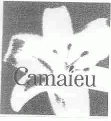 CAMAIEU