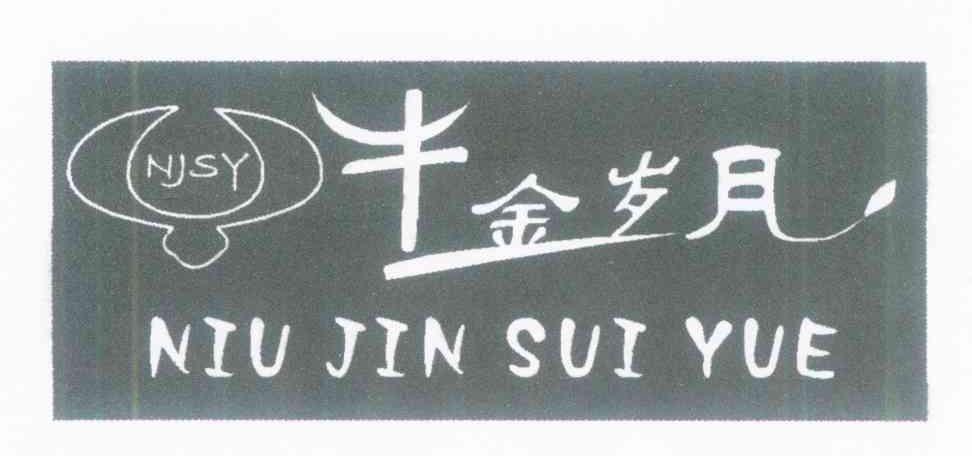 牛金岁月 NJSY
