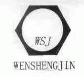 WENSHENGJIN;WSJ
