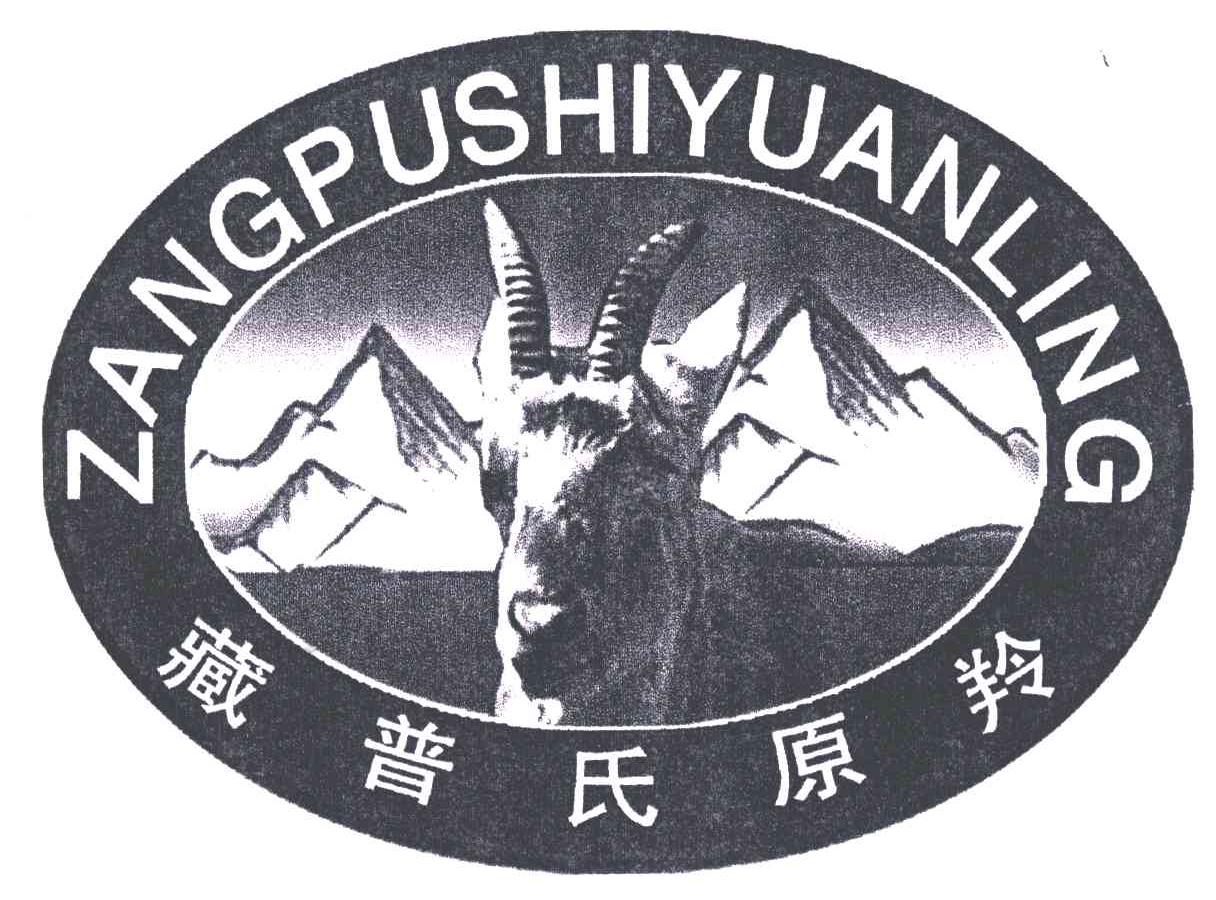 藏普氏原羚
