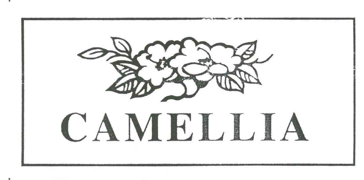CAMELLIA
