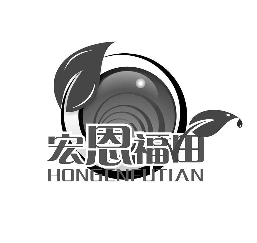 宏恩福田