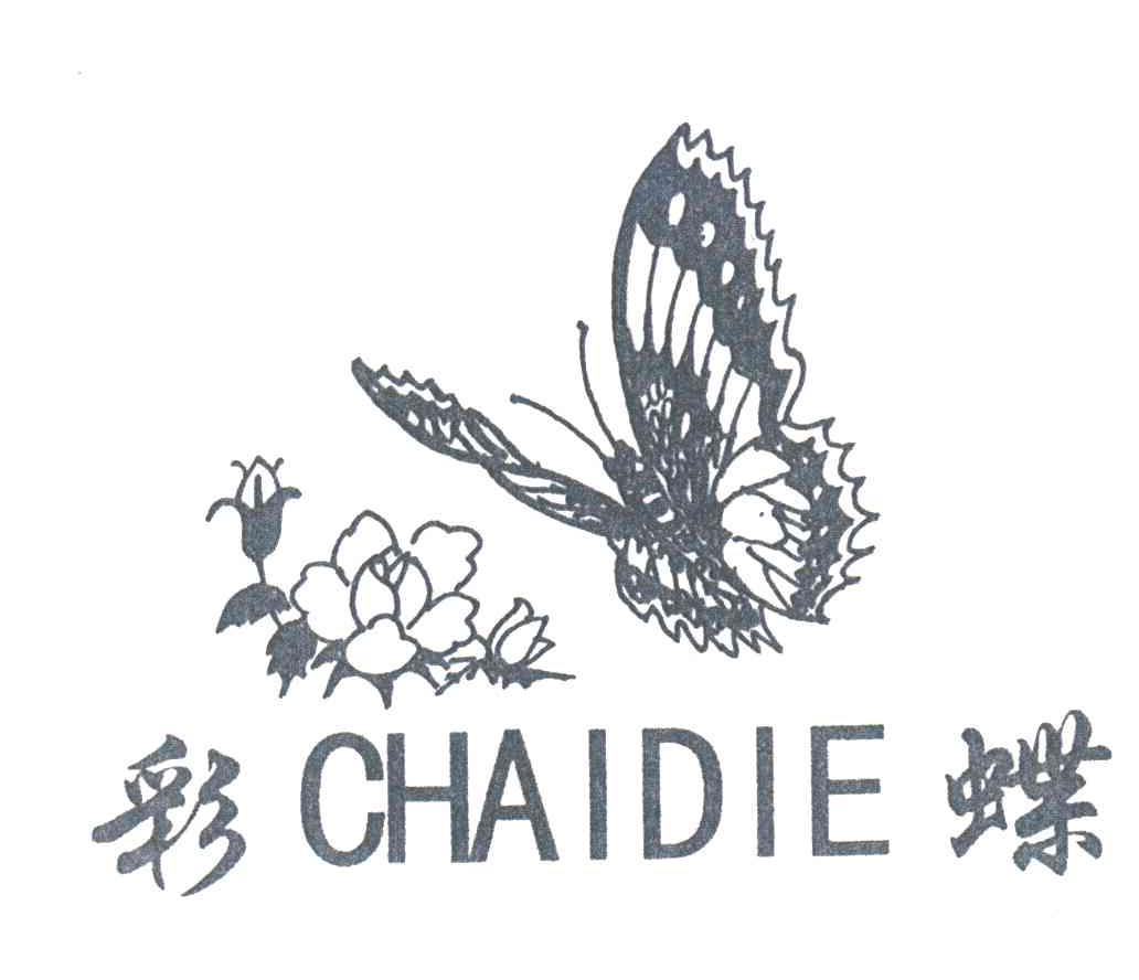 彩蝶