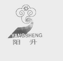 阳升