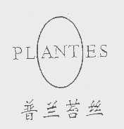 普兰苔丝   PLANTES