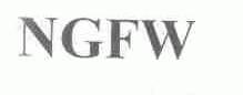 NGFW