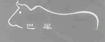 巴犀