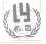 柳茵