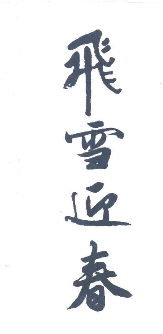 飞雪迎春