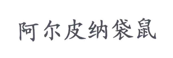 阿尔皮纳袋鼠