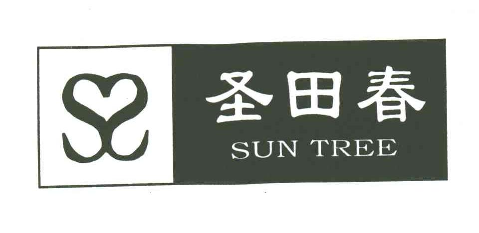 圣田春;SUN TREE