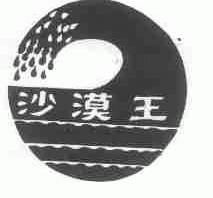 沙漠王