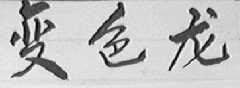变色龙