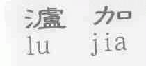 泸加