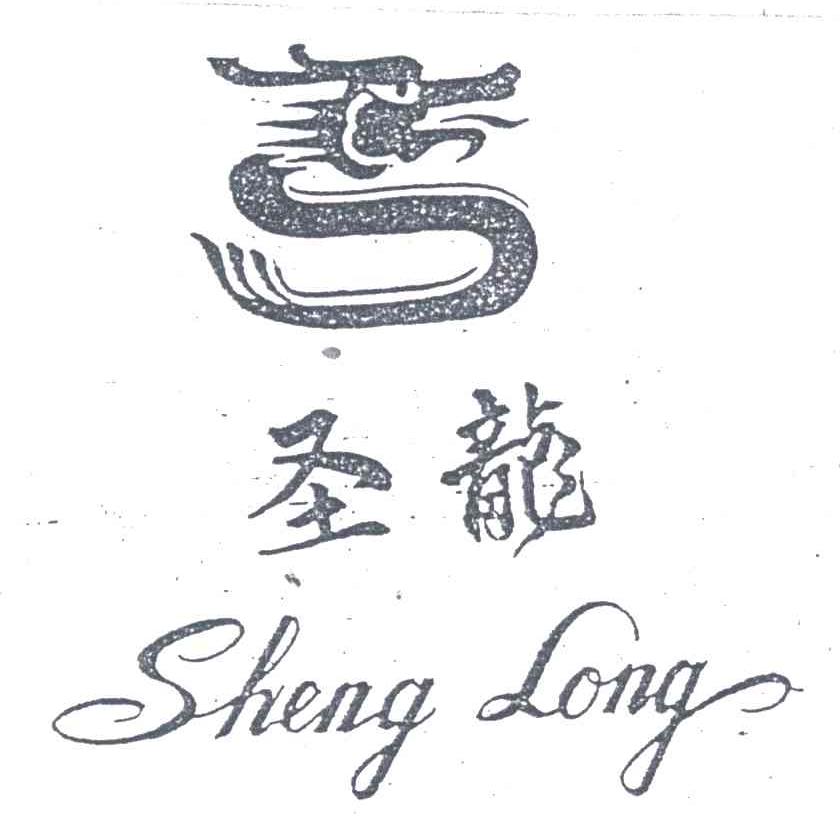 圣龙及图