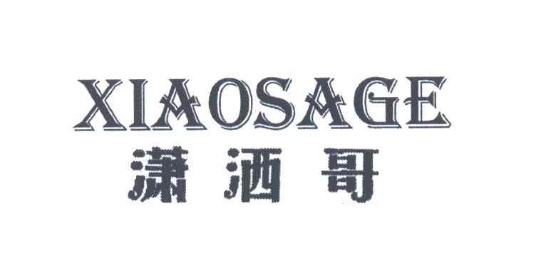 潇洒哥