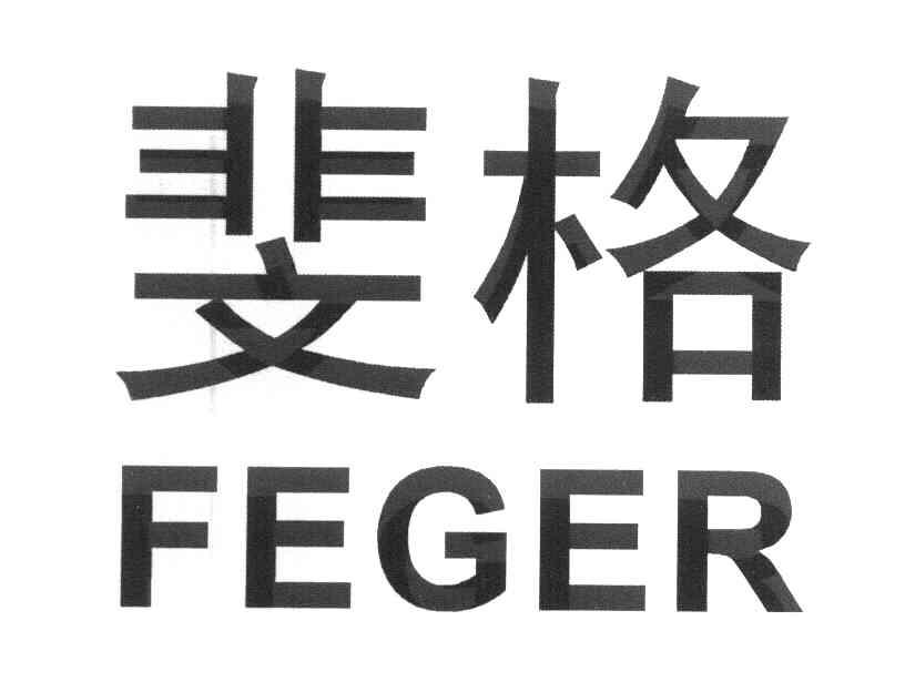 斐格 FEGER